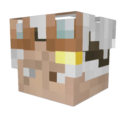 GameIIIsoda Minecraft avatar head, 3D render