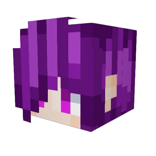 GameKnight4094 Minecraft avatar head, 3D render