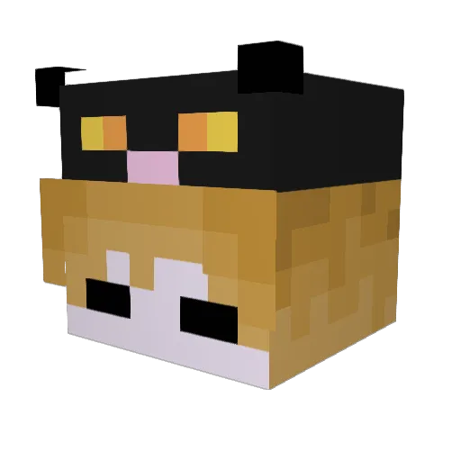 GamePaigeHQ Minecraft avatar head, 3D render