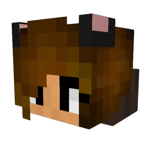 Gamehog221144 Minecraft avatar head, 3D render