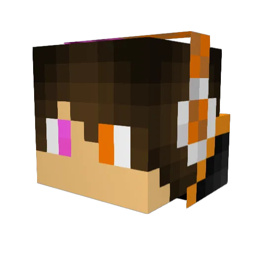 Gameknight568 Minecraft avatar head, 3D render