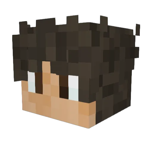 Gamer1173 Minecraft avatar head, 3D render