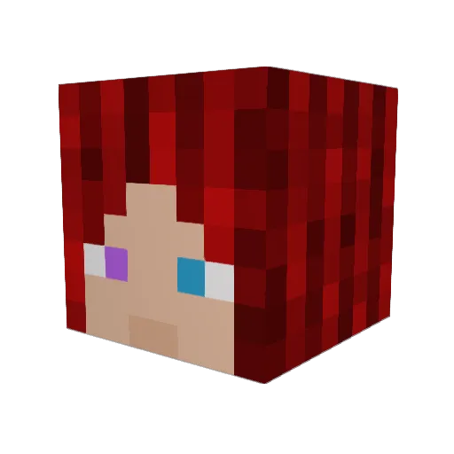 Gamer229070 Minecraft avatar head, 3D render
