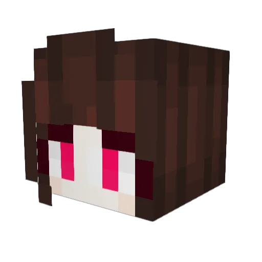 Gamer256 Minecraft avatar head, 3D render