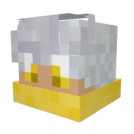 Gamer4EverPR_YT Minecraft avatar head, 3D render