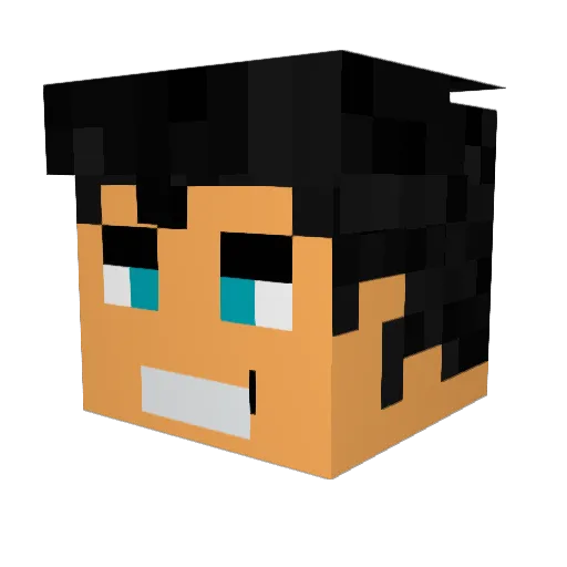Gamer502022 Minecraft avatar head, 3D render