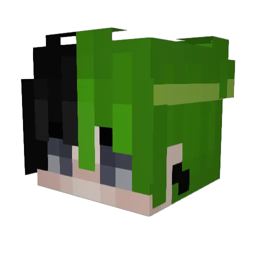 Gamer900rohit Minecraft avatar head, 3D render