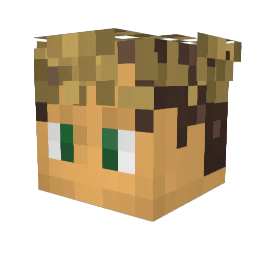 GamerAnton09 Minecraft avatar head, 3D render