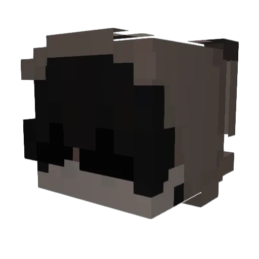 GamerBirne Minecraft avatar head, 3D render