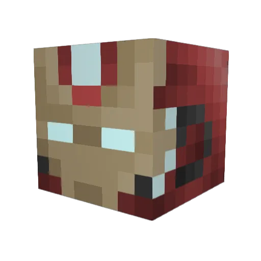 GamerBoiSoap14 Minecraft avatar head, 3D render