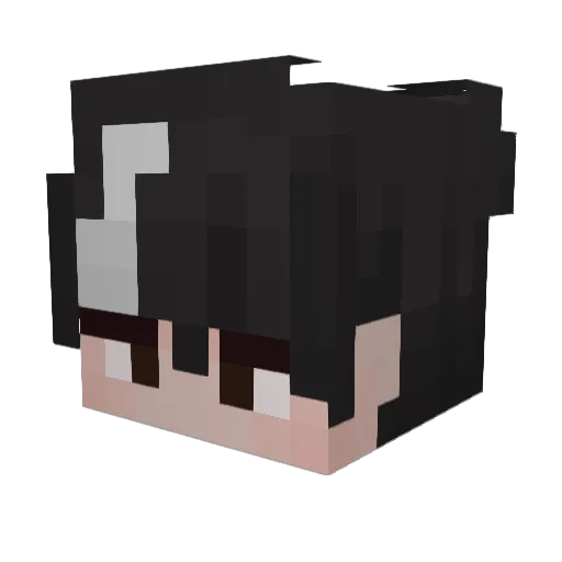 GamerBoy23350 Minecraft avatar head, 3D render