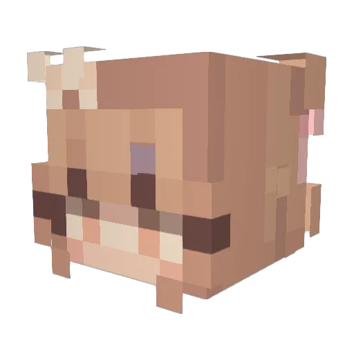 GamerBro2XX9 Minecraft avatar head, 3D render