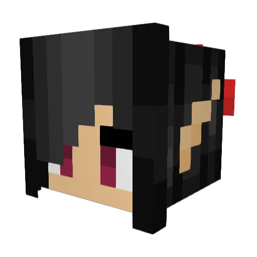 GamerCatZer0 Minecraft avatar head, 3D render