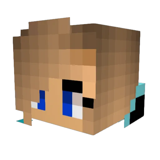GamerCat_14 Minecraft avatar head, 3D render