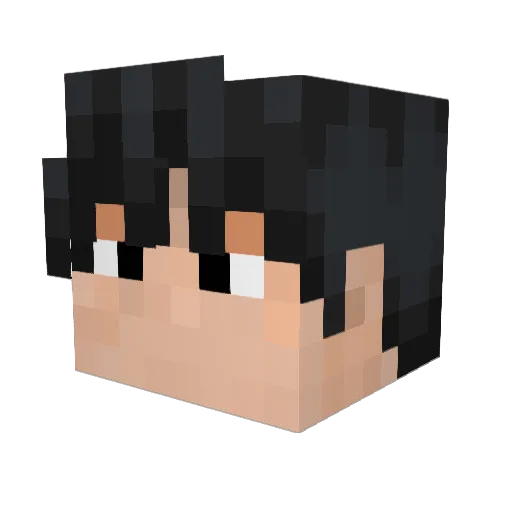 GamerCat_911 Minecraft avatar head, 3D render