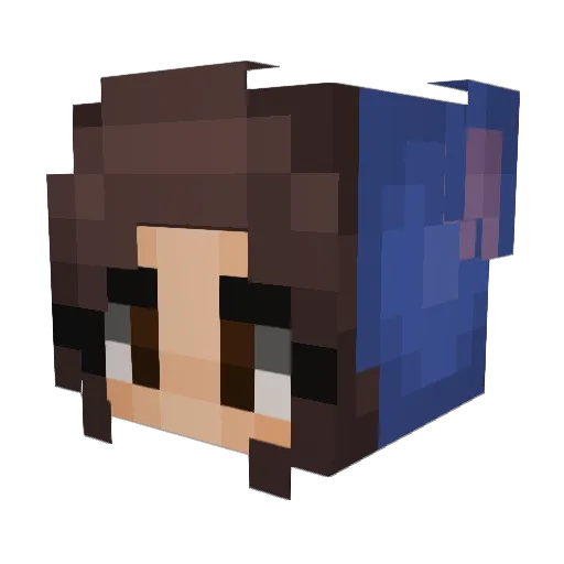 GamerDiamond Minecraft avatar head, 3D render