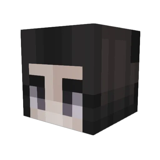 GamerDoggo5 Minecraft avatar head, 3D render