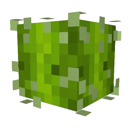 GamerDragon252 Minecraft avatar head, 3D render