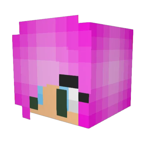 GamerFlowerGirl Minecraft avatar head, 3D render
