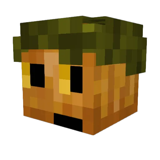GamerGage101 Minecraft avatar head, 3D render