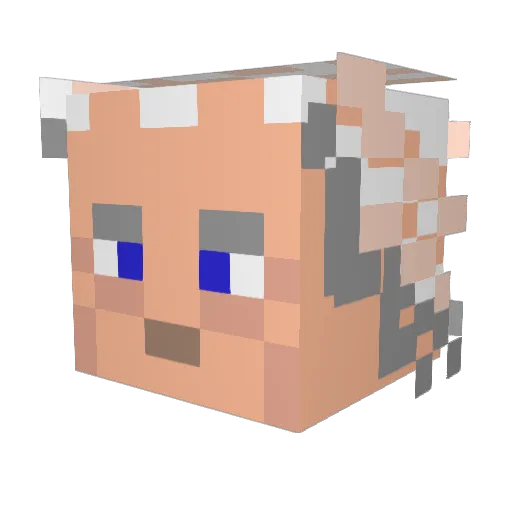 GamerGirl0808 Minecraft avatar head, 3D render