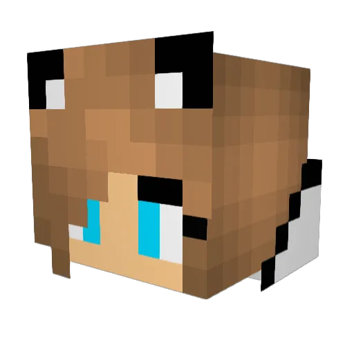 GamerGirl1555 Minecraft avatar head, 3D render