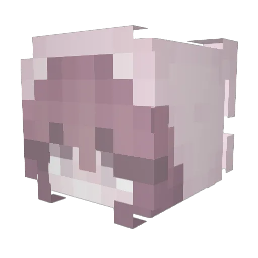 GamerGirl345956 Minecraft avatar head, 3D render