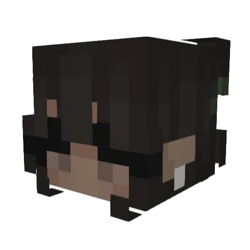 GamerGirlDaddy Minecraft avatar head, 3D render
