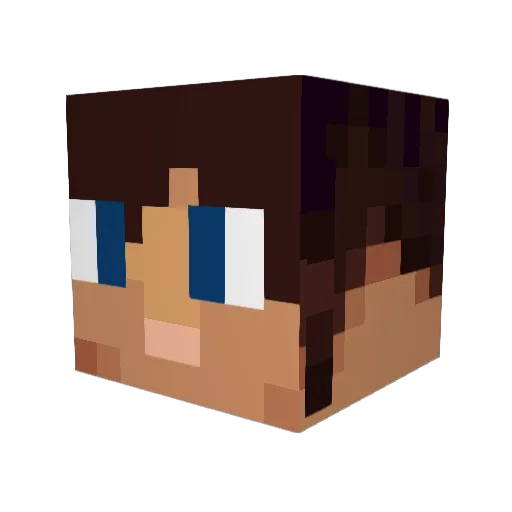 GamerGirlLover69 Minecraft avatar head, 3D render
