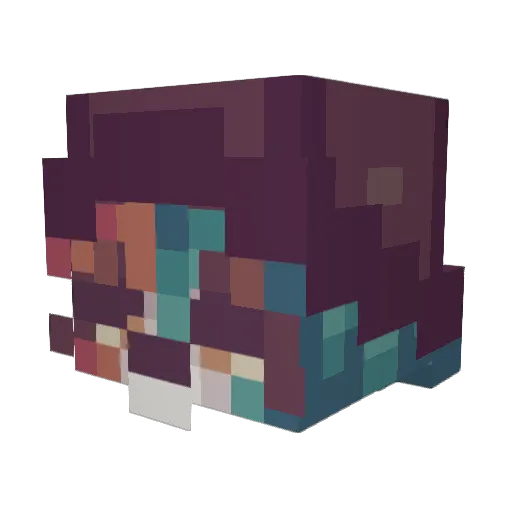 GamerGram99 Minecraft avatar head, 3D render