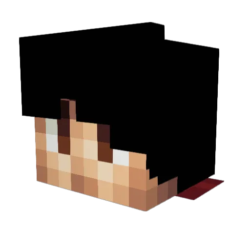 GamerKnight17 Minecraft avatar head, 3D render