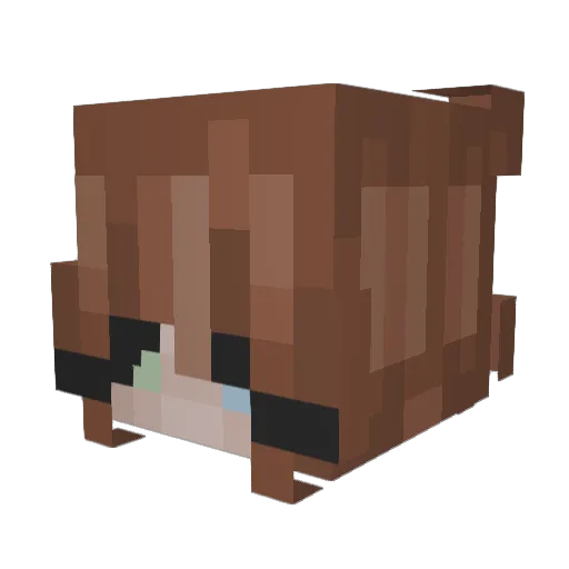 GamerLea10 Minecraft avatar head, 3D render