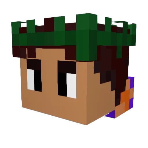 GamerLordV3 Minecraft avatar head, 3D render