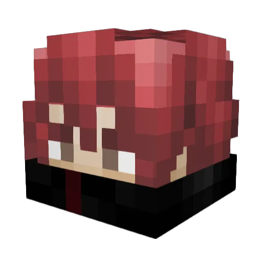 GamerLpDer1st Minecraft avatar head, 3D render
