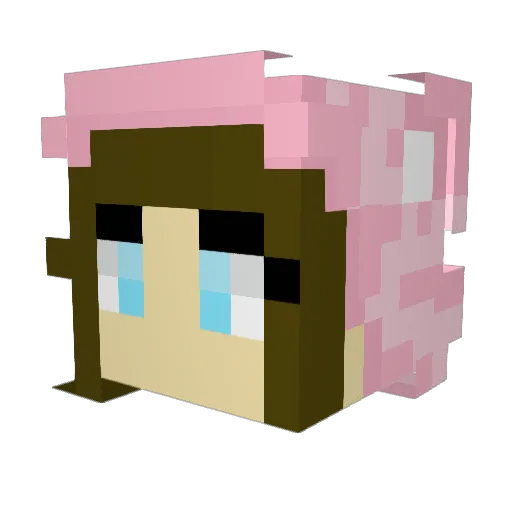 GamerShell4 Minecraft avatar head, 3D render