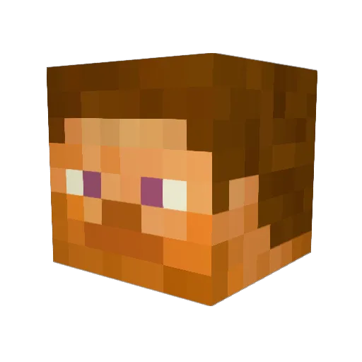 GamerSuper98 Minecraft avatar head, 3D render