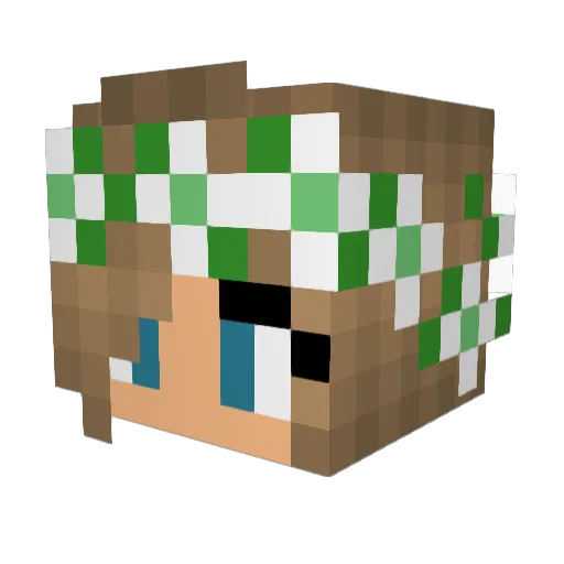 GamerTacoz Minecraft avatar head, 3D render