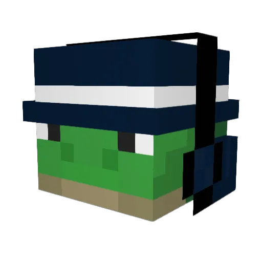 GamerTurtle100 Minecraft avatar head, 3D render