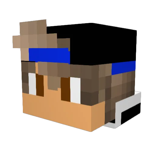 GamerTwins8948 Minecraft avatar head, 3D render