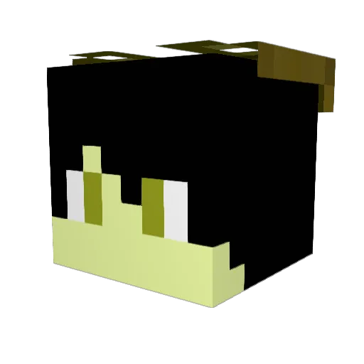 GamerVlad123 Minecraft avatar head, 3D render