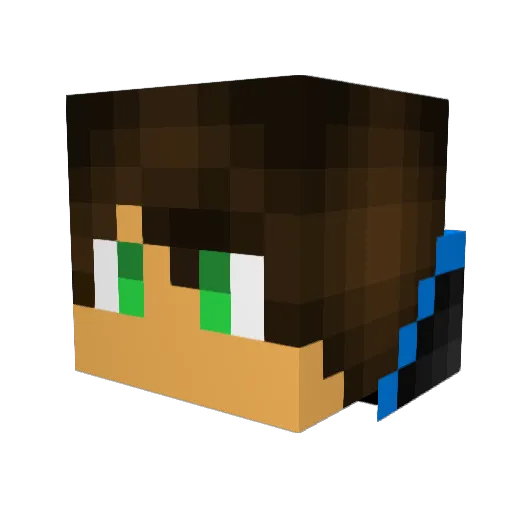 Gamer_1100 Minecraft avatar head, 3D render
