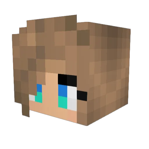 Gamer_1111 Minecraft avatar head, 3D render