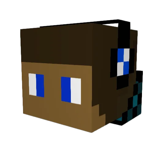 Gamer_1906 Minecraft avatar head, 3D render