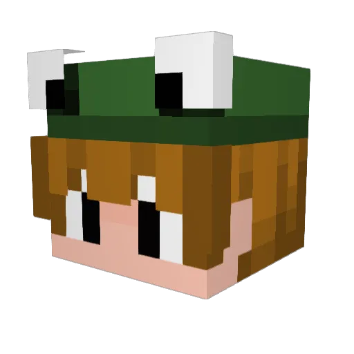 Gamer_9677 Minecraft avatar head, 3D render
