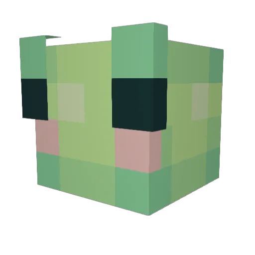 Gamer_Bacon Minecraft avatar head, 3D render