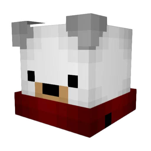 Gamer_Boi5 Minecraft avatar head, 3D render