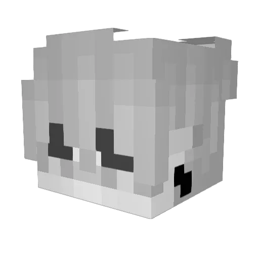 Gamer_Boii Minecraft avatar head, 3D render