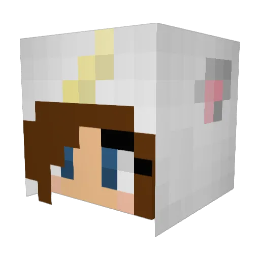 Gamer_C Minecraft avatar head, 3D render