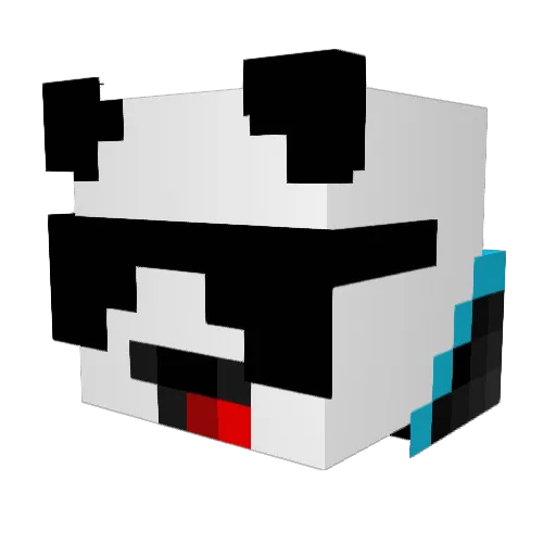 Gamer_Dallas123 Minecraft avatar head, 3D render