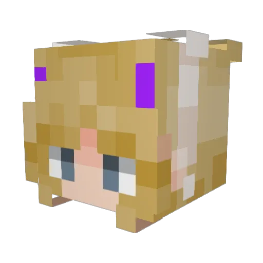 Gamer_Demon1021 Minecraft avatar head, 3D render
